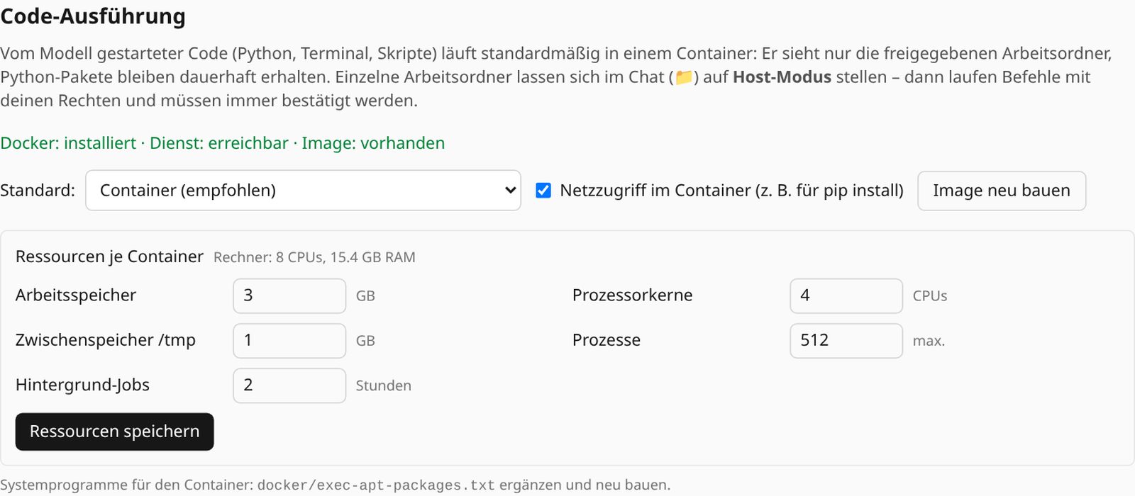 Einstellungen Code-Ausführung mit Docker-Status und Standard Container