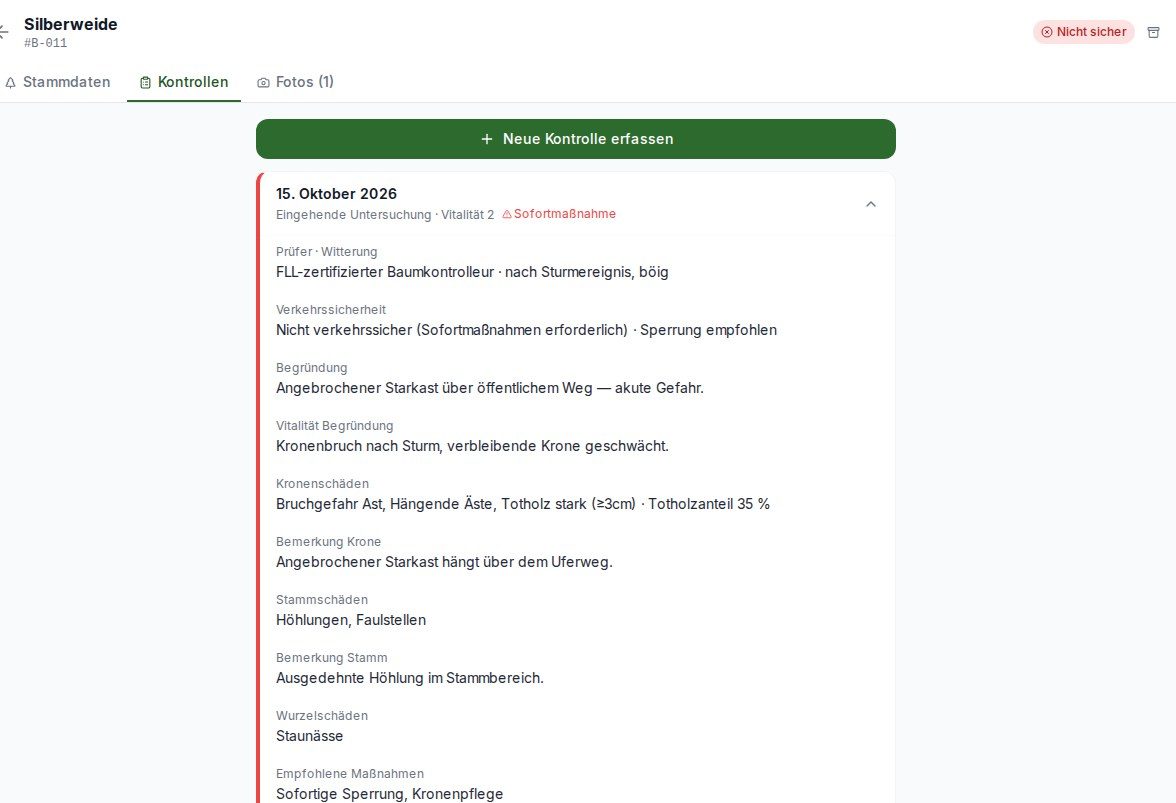 Kontrolle in der Historie